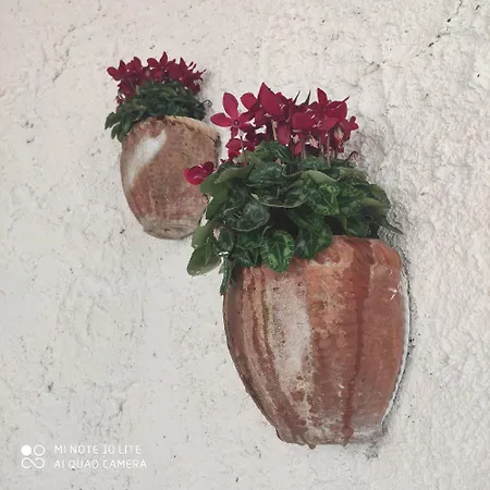 Damenona Per Sognare Santa Giustina